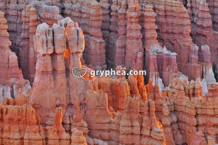 Hoodoos (Bryce Canyon, Utah) - gryphea.org